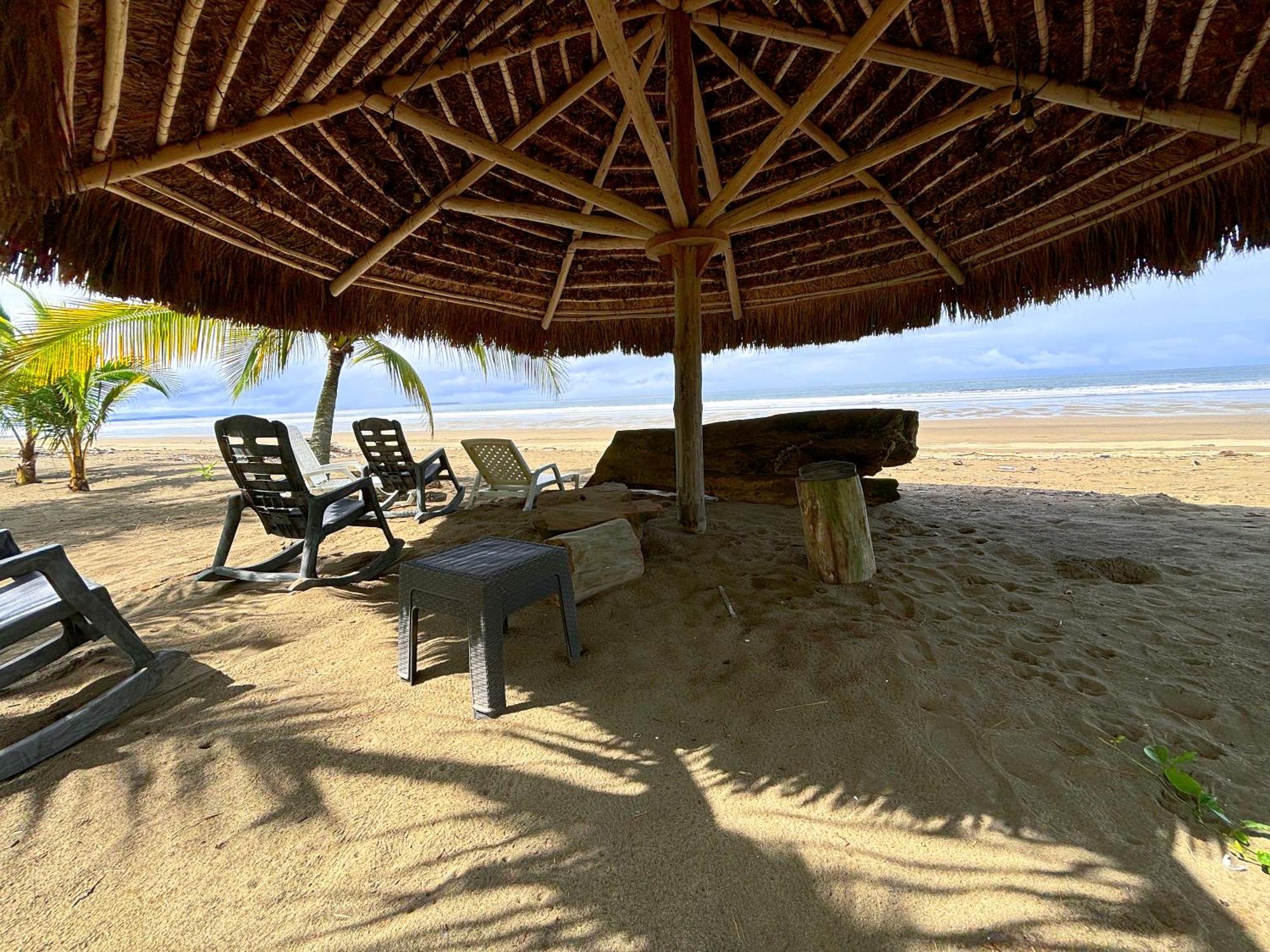 Royal Palm Retreat Appartement Cabrera Buitenkant foto