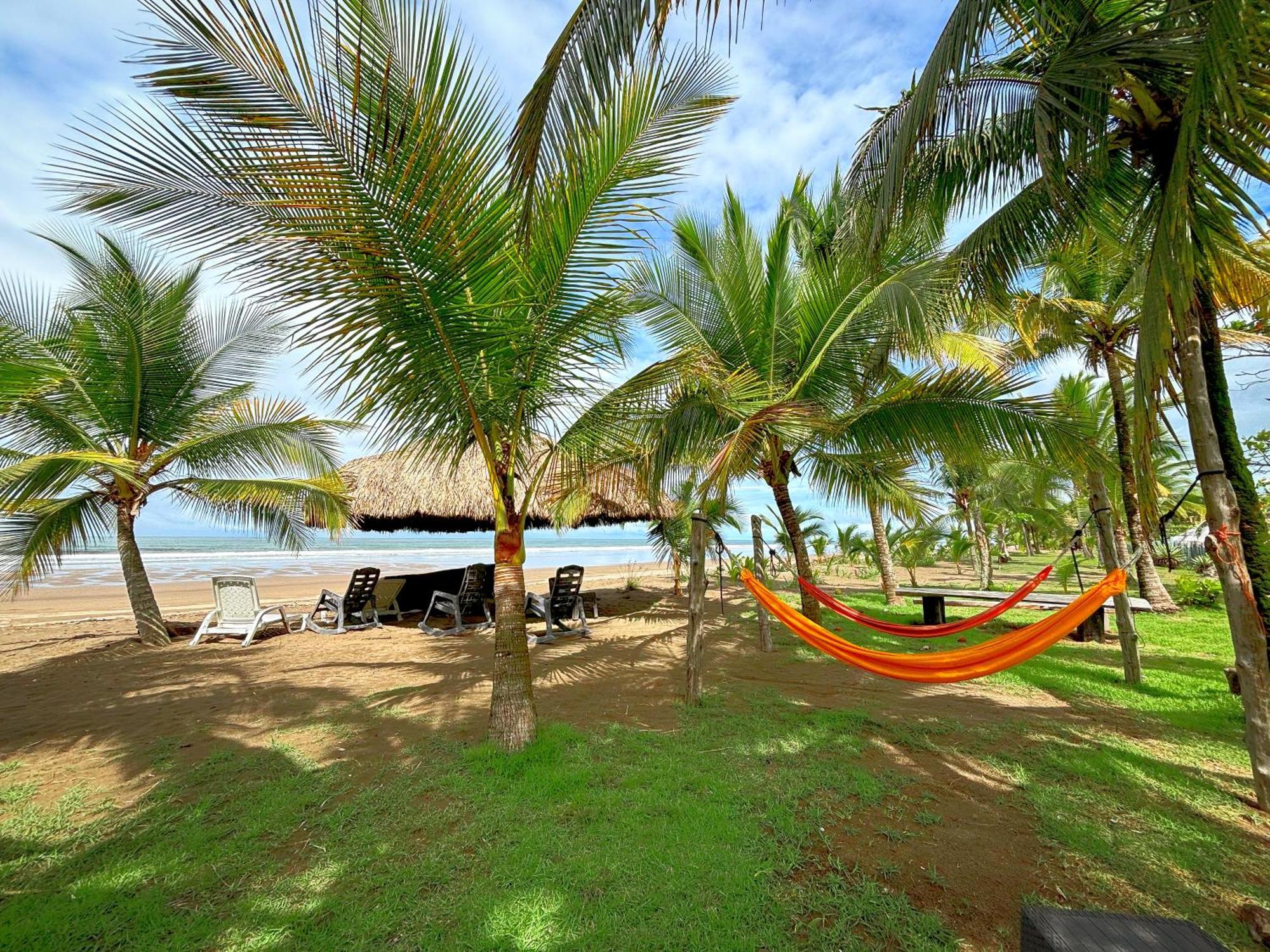 Royal Palm Retreat Appartement Cabrera Buitenkant foto